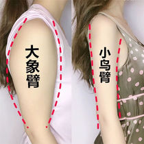  (Recommended by Weia)Goddess butterfly arm sticker? Model temperament Buy 5 get 5 free--- - if its not serious please dont buy it 