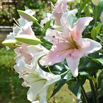 Hand-feeling moisturizing lily flower simulation bouquet living room home decoration wedding floral ornaments artificial flower arrangement