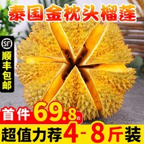 Thai gold pillow durian fresh fruit with Shell season a whole palm meat imported specialty Shunfeng 10