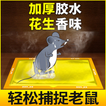 Big mouse paste strong sticky mouse board folding oversized 30 sheets 50 sheets catch rat clip glue stick household thickening artifact
