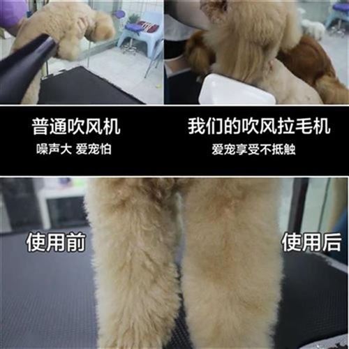 Dryer Animal cleaning Electric blow dryer dryer Short B hair E Small and medium-sized pet blow X machine full body dog hair