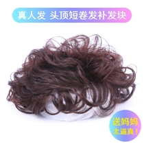 True hair short curly hair top head replacement film middle-aged natural fluffy cover white hair wig female short hair lifelike hair rebuilding block