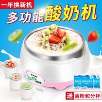 Yogurt machine cup rice wine fermentation machine commercial household small automatic enzyme natrium machine large capacity New
