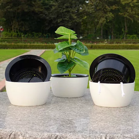 圆形矮款懒人花盆自动吸水多肉绿萝专用花盆加厚环保家用室内花盆