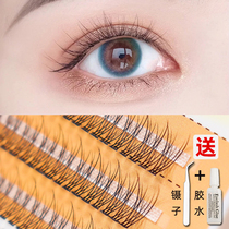 Yu Shuxin with fish tail false eyelashes female natural simulation single cluster hair grafted fairy hair single root fairy eye hair