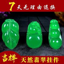 Natural Burmese jade jade pendant Gourd Fu Bean ice waxy plant leaves Golden branch jade leaf pendant with lanyard