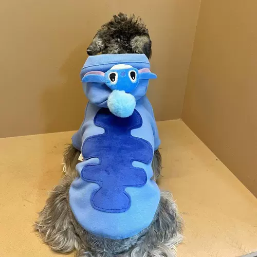 Милая зимняя демисезонная удерживающая тепло утепленная толстовка, осенний сезон