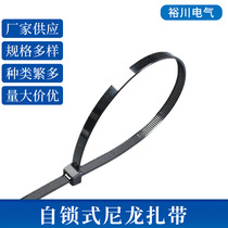 Self-locked type pe nylon tie 3 * 100mm-10 * 1000mm plastic nylon tie-wire harness