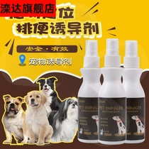  Dog toilet inducer defecation positioning defecation training toilet liquid pet urine shit poop catheter