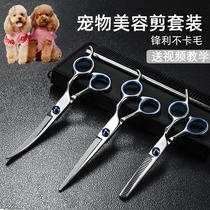 Pet dog supplies book Scissors Scissors professional puppy teddy dog hair curving tools special set