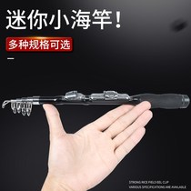 Small sea rod fishing rod mini sea pole set fishing ultra-short section portable swing Rod full set of rock Rod Luya sea pole throwing Rod