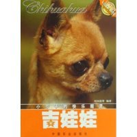Genuine Chihuahua Qi Fengjuan edited