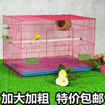 Bird cage Budgerigar bird cage Pearl bird rabbit cage Universal Acacia parrot Wrought iron metal household breeding cage