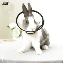 Rabbit mouth cover Anti-bite head cover Pet rabbit anti-bite artifact mouth collar Gnome lop rabbit mouth cover