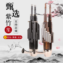 Tianjin Wang Sheng musical instrument beginners 14 spring square Sheng 17 spring 21 spring round Sheng Zizhu Pa Sheng professional performance