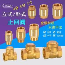 4 6 points 1 inch all copper vertical check valve horizontal check valve DN15 20 25 inner and outer wire water pipe check valve
