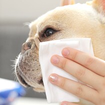 Japanese pet wet towels clean and deodorize to remove tears gentle fou teddy kitty cleaning supplies