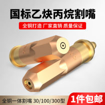 Propane cutting nozzle acetylene cutting gun G01-30 oxygen ring type liquefied gas plum blossom gas wind cutting 100 torch