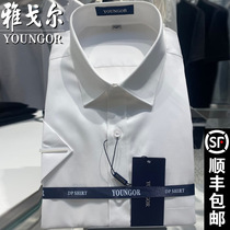 Youngor long sleeve shirt men non-iron high-end DP cotton business dress loose short sleeve white inch shirt counter