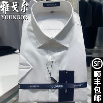 Youngor long sleeve shirt men non-iron high-end DP cotton business formal dress loose short sleeve white inch shirt counter