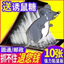 Super strong sticky mouse board mouse paste home to kill Big Rat Glue medicine artifact to increase the thickening of a nest end