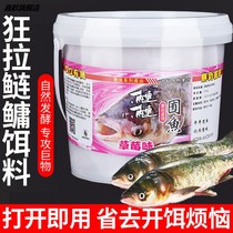 Lotus seed floating fishing silver carp bighead bait sour hand bar wild fishing even fish bait barrel strawberry flavor silver carp Special Lotus fish hook summer