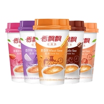 Milk tea multi-flavor mixed 10 cups wholesale hand-made instant brewing raw milk tea powder