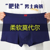 2-4 articles for mens underwear in mens underwear for young Modale big code plus fattening up underpants mens loose flat corner briefs