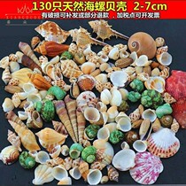 Simple and durable boys and girls toys children ladies summer small conch ocean decoration beach ornaments shell di