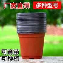 Plastic seedling flowerpot two-color flowerpot nutrient Cup nutrient bowl planting transplant pot bad seedling Cup