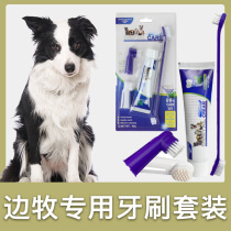 Dog Special toothbrush package puppy toothpaste brush teeth with teeth cleaning products finger sleeve