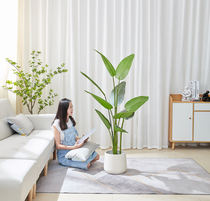 Simulation of birds of paradise plant Nordic light luxury large traveler banana indoor living room window decoration homestay green plant decoration