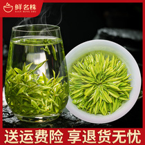 Authentic Anji rare white tea 2021 new tea orchid canned tea green tea white tea Anji specialty spring tea