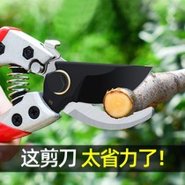 Fruit branch Cut-cut tree pruner scissors pruned branches landscaping labor-saving and labor-saving pruner cut branches Home powerful clippers
