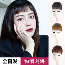 Bangs wig female two-dimensional real hair dog gnawing wigs natural ultra-thin eyebrows invisible fake bangs