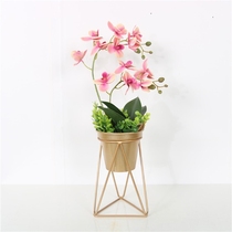 Metal Plant Stand with Golden Iron Flower Pot Rack Holder Pl