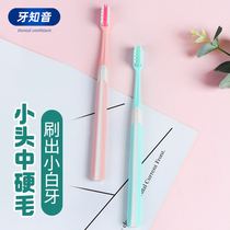 High-end hard hair toothbrush small Head Lady special to tooth stains hard hair couples home adult hair women