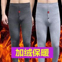 Winter middle aged warm pants mens new gush thickened beating underpants Thunderpants mens inner lap pure color long pants