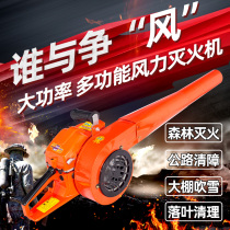 Gasoline hair dryer handheld snow blower wind extinguisher high-power forest fire extinguisher Blower