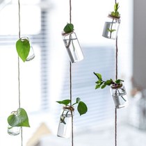 Green dill hanging bottle hydroponic plant glass bottle hanging INS creative decoration small vase transparent hanging bedroom pendant