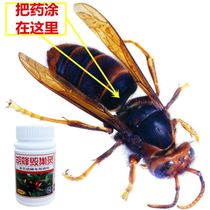 Vespa destroy nest spirit kill Vespa kill Hornet nemesis Vespa drug powder Vespa three Tianjing feng yao bee tools
