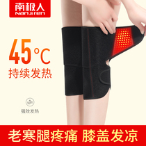 Antarctic people self-heating Wormwood knee warm old cold legs summer air-conditioned room cold male and female Joint cover Cover Cover
