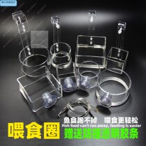 Fish tank floating feeding ring tube aquarium acrylic transparent fish feeder bucket adhesive hook suction cup feeding fish grain to prevent floating