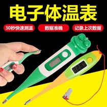 Farm Veterinary electronic thermometer pig electronic anal thermometer cat dog pet cattle and sheep thermometer rapid temperature measurement