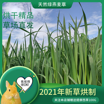 2021 New grass boutique drying swallow wheat straw rabbit dried grass Dutch pig pig grain feed dragon cat grass 500g min county