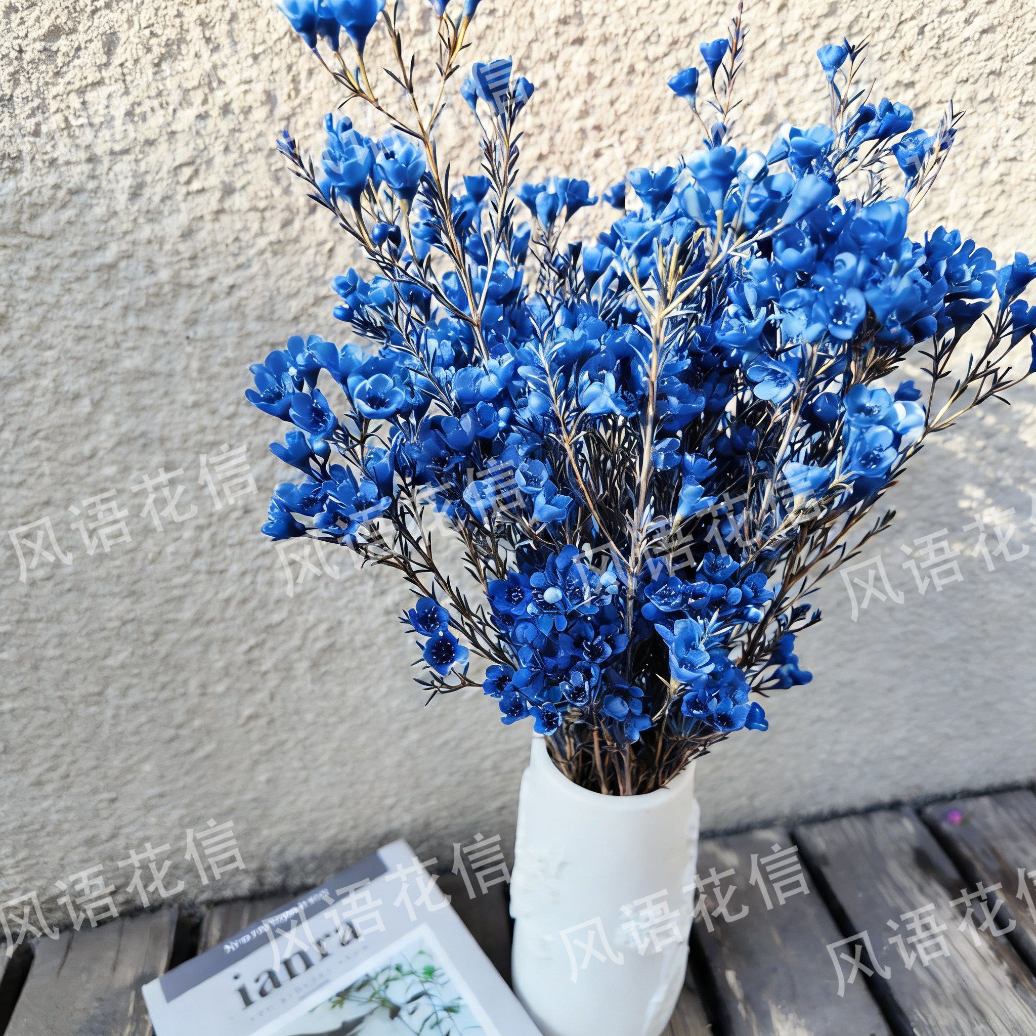 蓝色梅花-蓝色梅花促销价格、蓝色梅花品牌- 淘宝