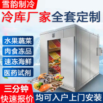 Cold Storage Full Range Equipment Vegetable Fruits Freshness Preservation Depot Cold Storage Meat Medicine Freezer Quick-Freeze Library Home Small