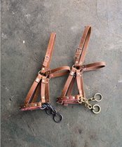 Equestrian tuned in Marlon sleeve for horse-cage head chewy full set of small CUHK horses equipped with horse and chewy chewy