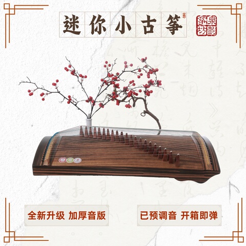 泉韵筝坊古筝琴21弦小型便携式练指器儿童初学者迷你琴弦小古筝-淘宝网