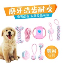 Pet dog molar bite rope knot toy teddy Bomei puppy toy small dog relief bite toy